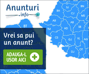 anunturi.info